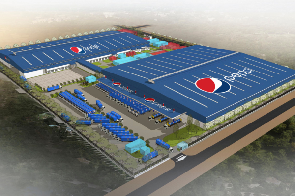 PEPSICO FOODS VN